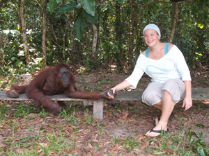 An orangutan thinking about Amanda's hat