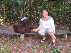 The same orangutan playing with Amanda's hat