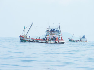 Thai fishing boats