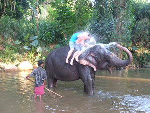 Emily, Amanda, and Gregg II on an elephant in Sri Lanka